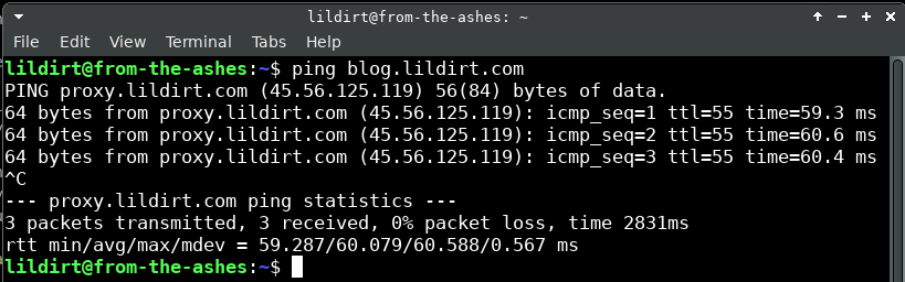 Image: DNS ping test